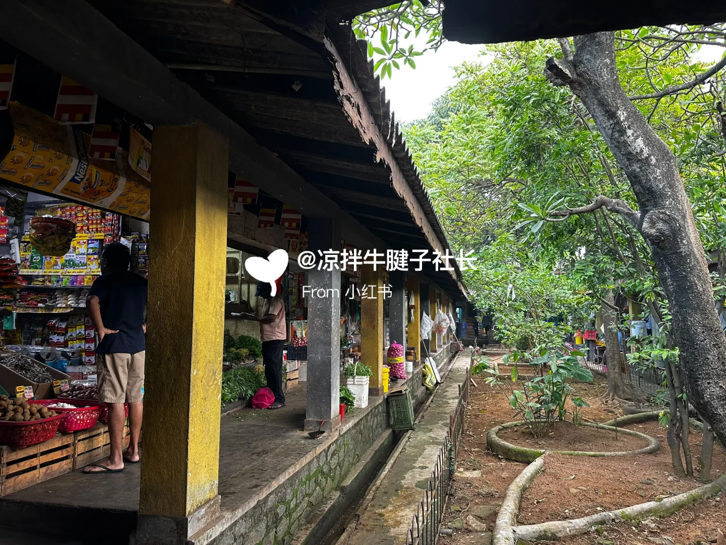 蔬菜紧急告急!科伦坡蔬菜采购市场分享??