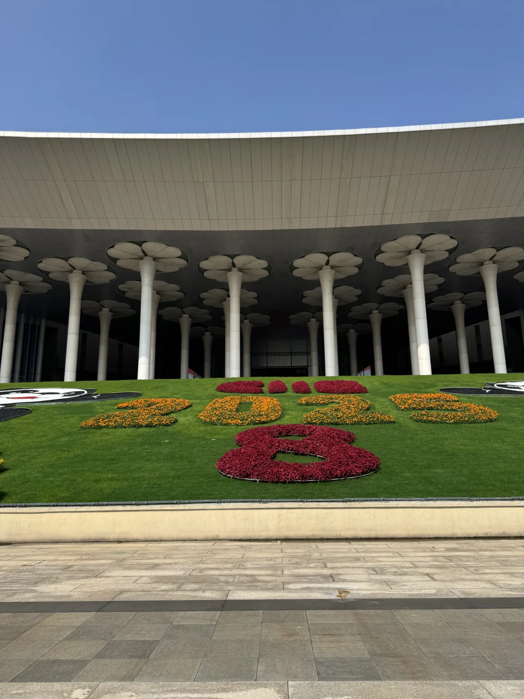 进博会马上开幕啦！提前体验看看吧！