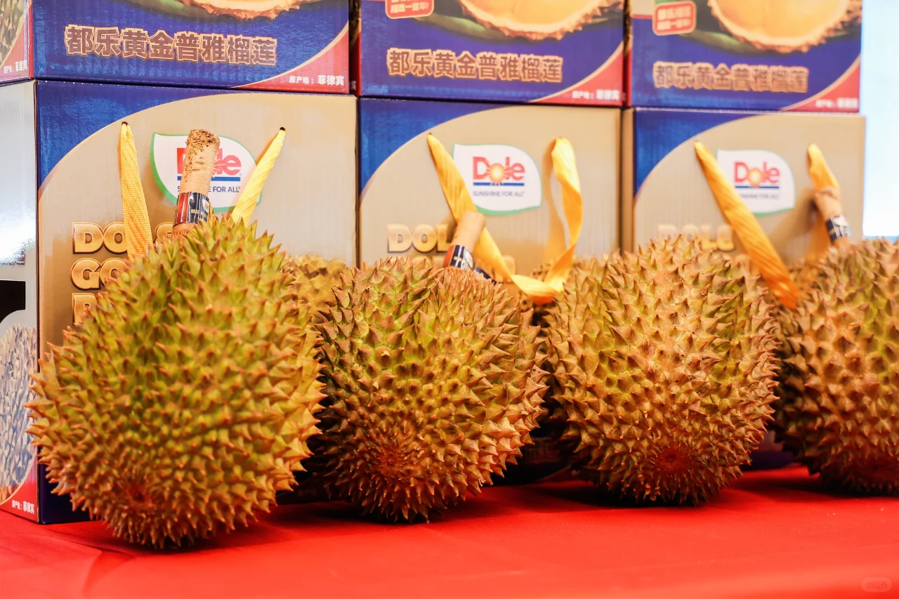 进博倒计时100天!都乐受邀参加展前对接会