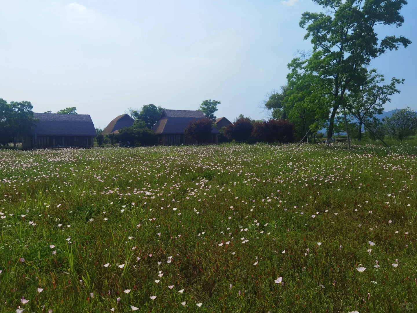 各位帮忙鉴定一下是不是外贸新骗局