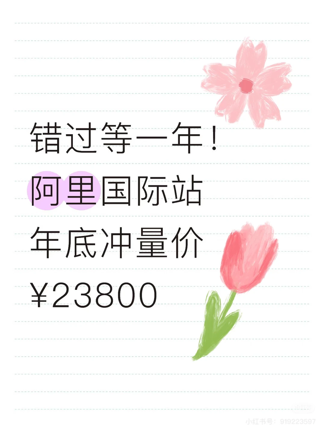 阿里国际站3个月回本