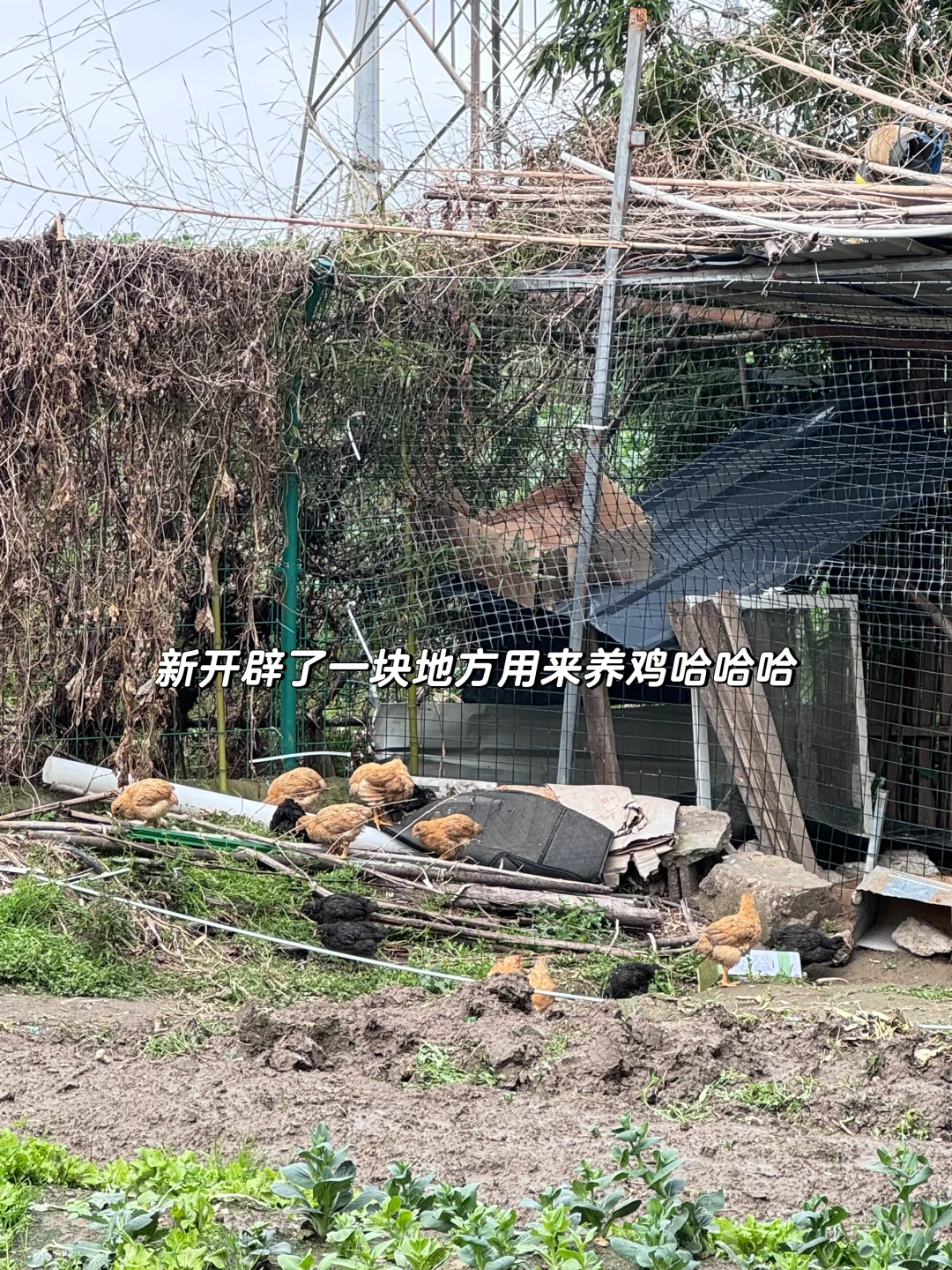 创业日记 | 从0到1,创业一年我们做了什么