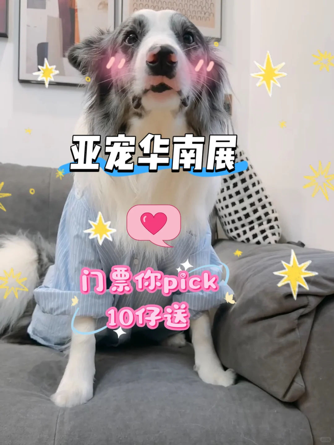 风靡宠物界的亚宠华南展门票,你pick✅10仔送