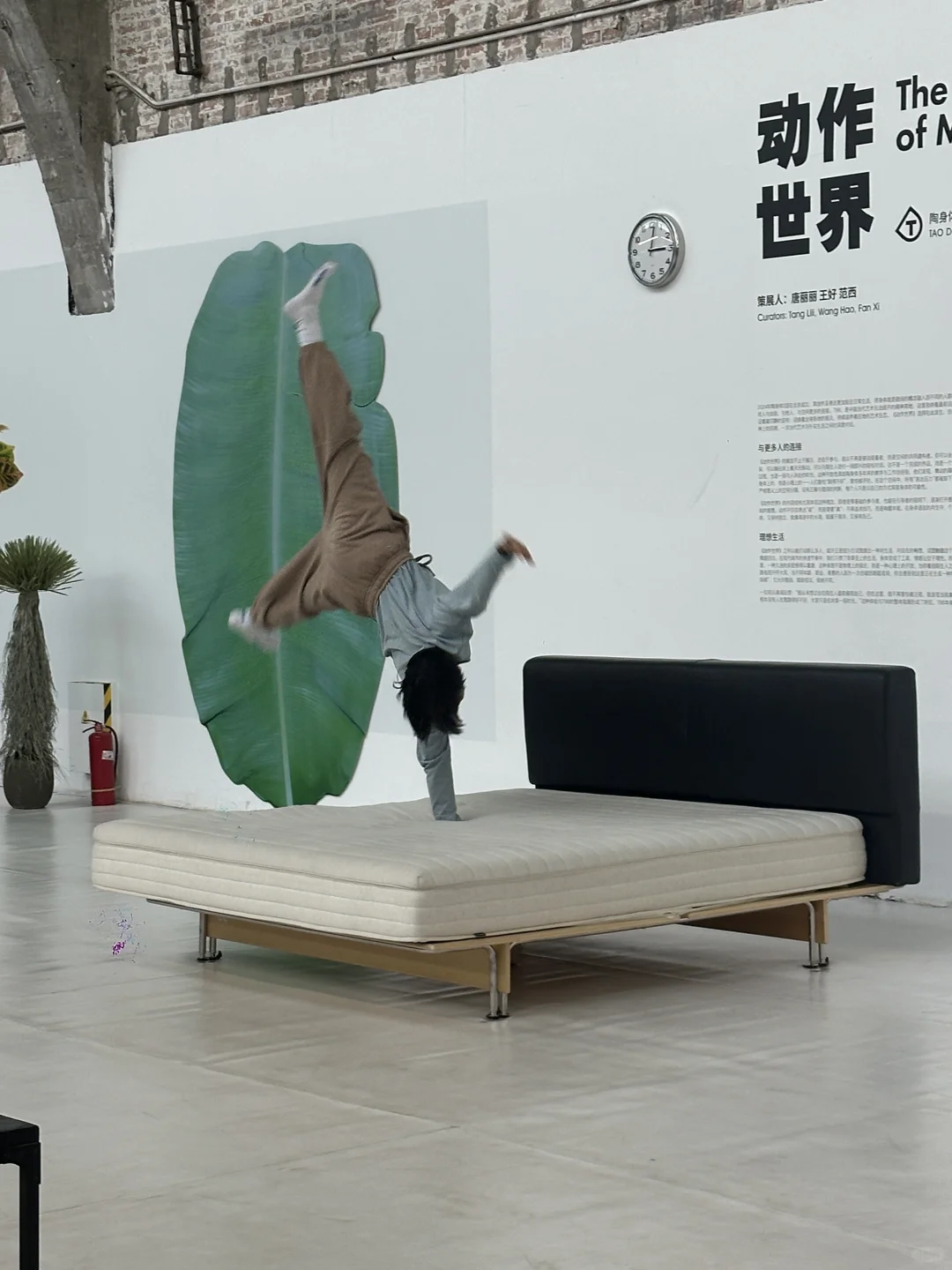 在798，0️⃣元开始“玩”艺术，结果…