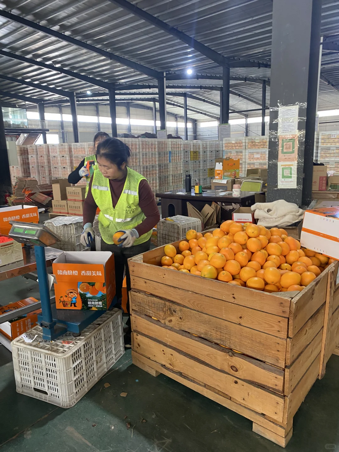 品质源链 · 专业直达