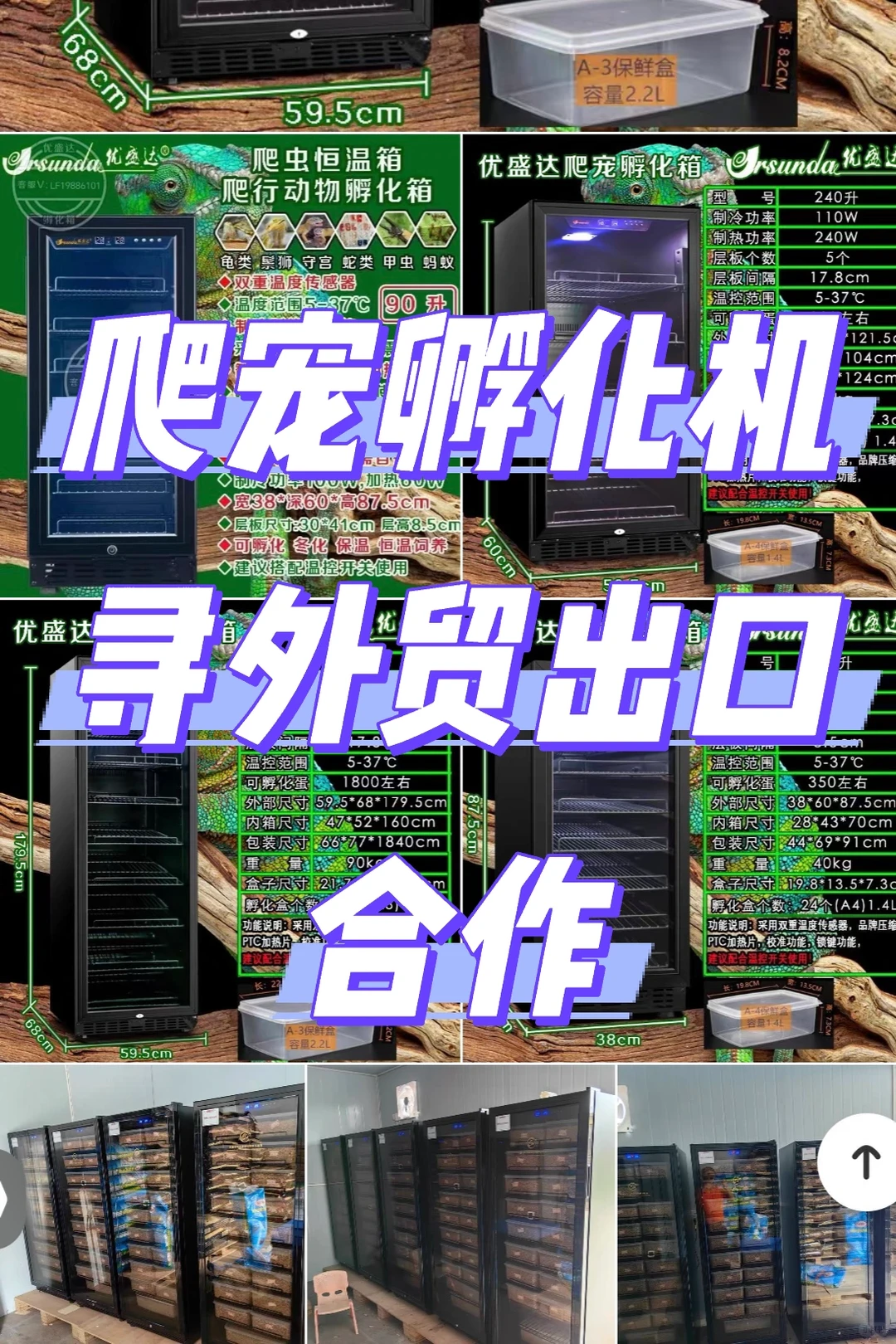 优盛达爬宠智能孵化机寻外贸合作