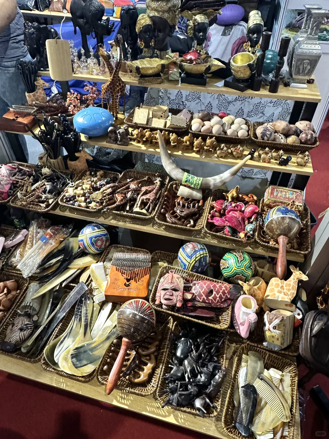 来逛进博会啦 日行两万步?