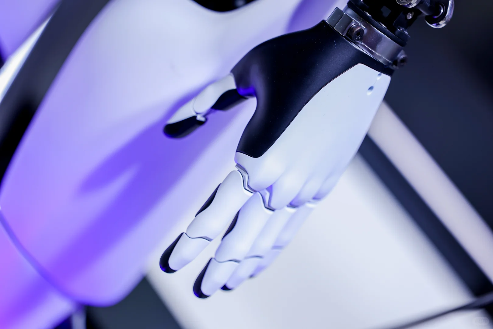 2025进博会之旅结束，回济