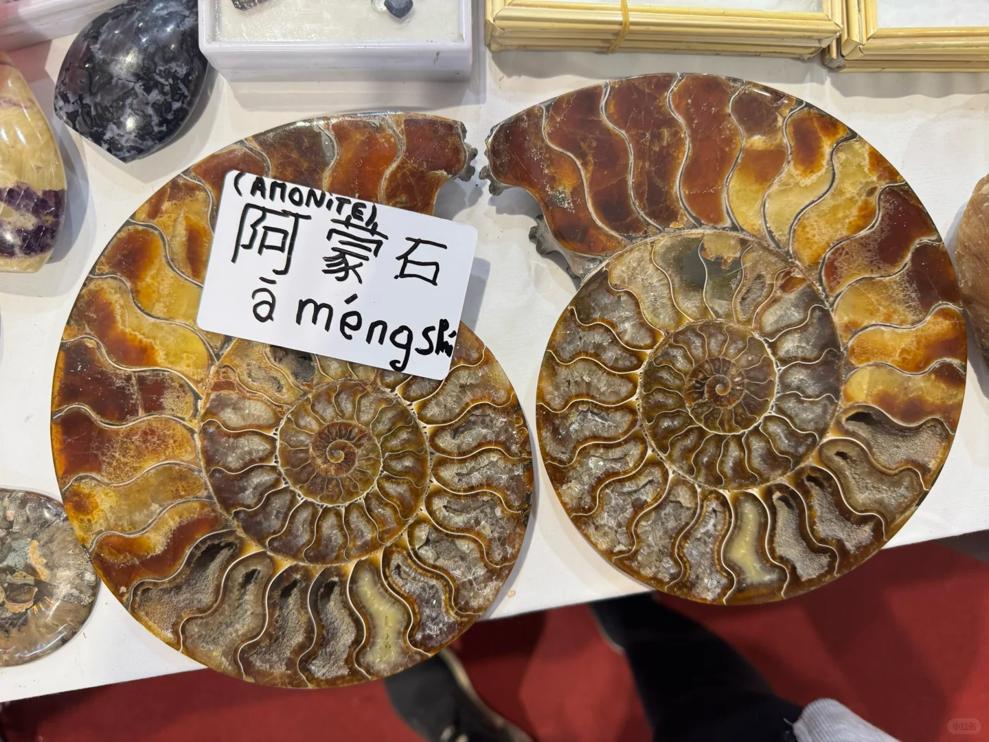 2025进博会第五天“抄底”攻略