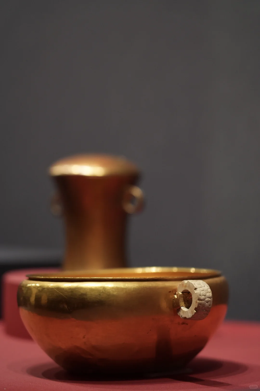 金耀九州｜掉进安博金窖