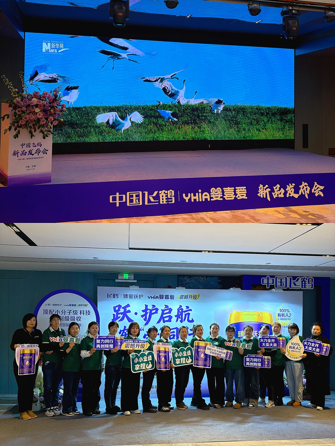 婴喜爱｜飞鹤新品发布会❣️