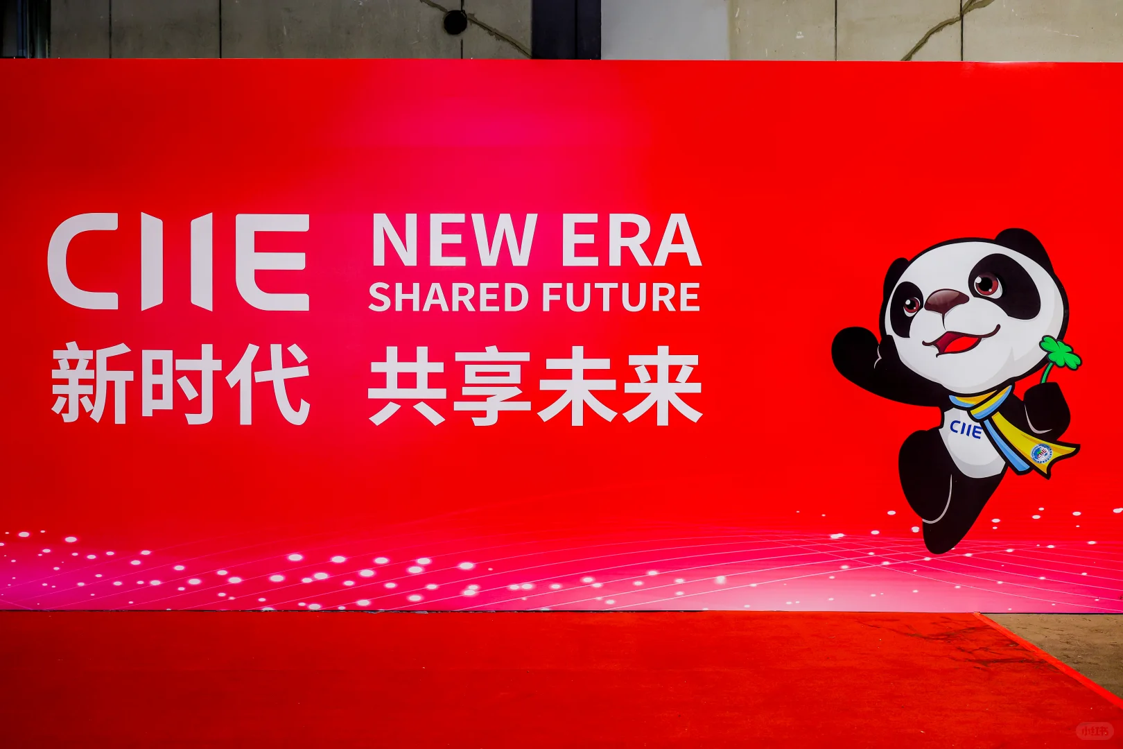 2025进博会之旅结束，回济