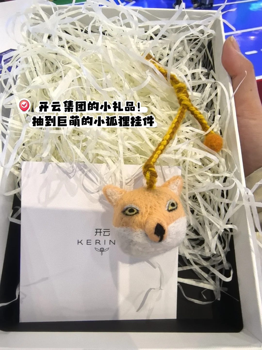 进博会薅羊毛！（朱波精选版）