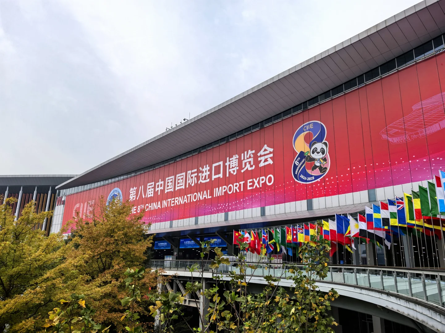 报告！进博会，我来了，上班！