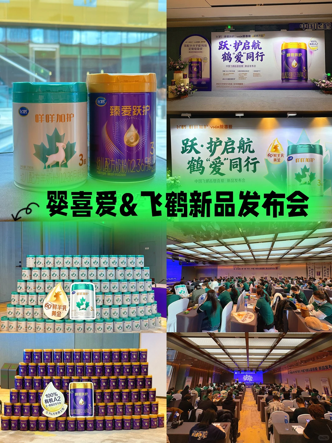 婴喜爱｜飞鹤新品发布会❣️