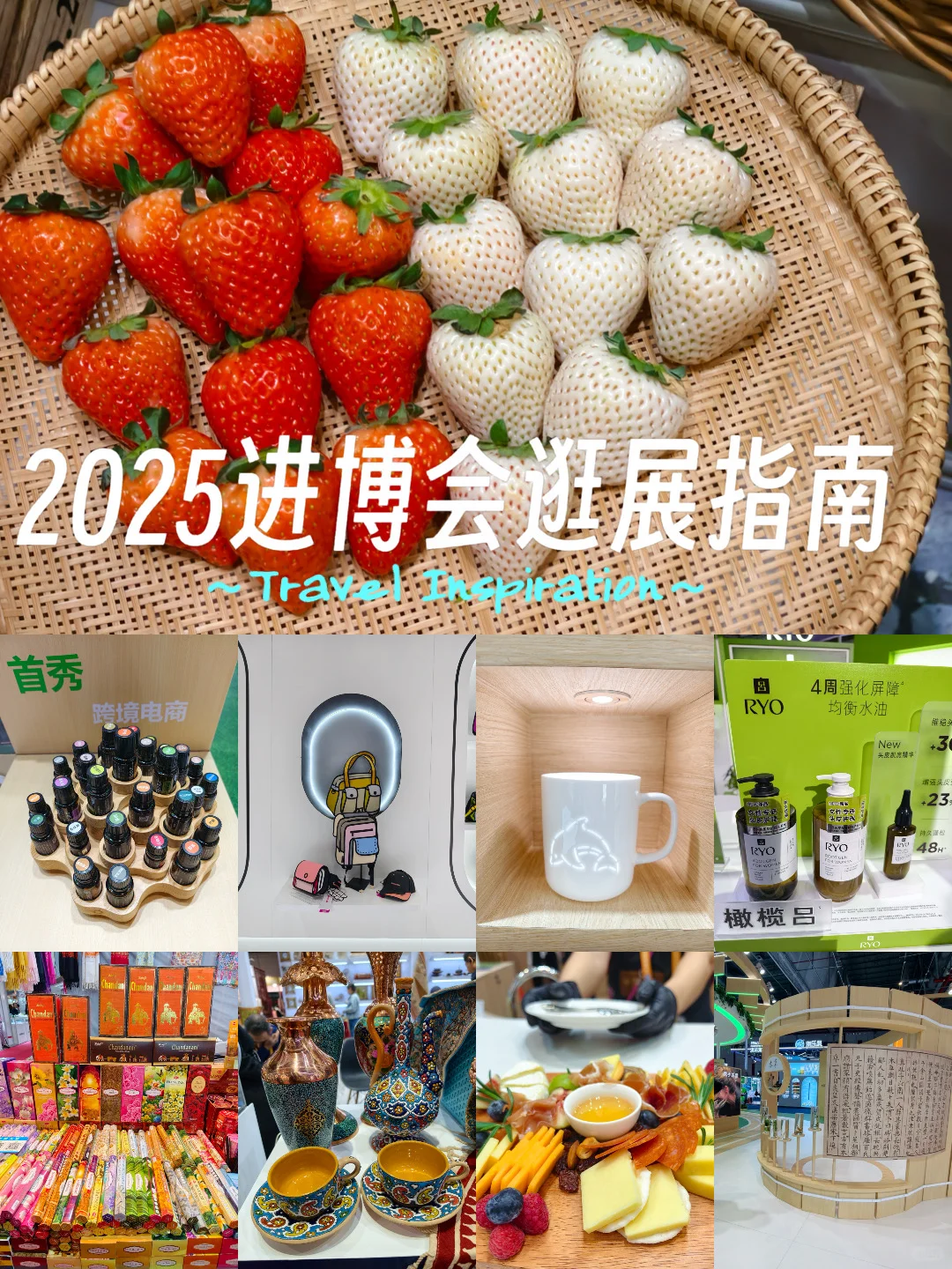 进博会第三天观展/薅羊毛/剁手攻略