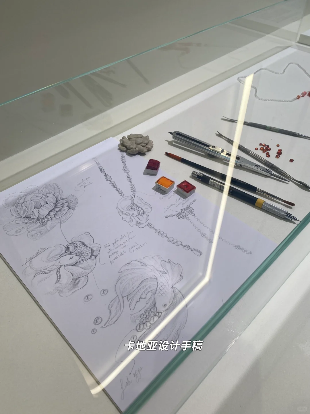 浓缩世界精华的2024进博会 逛点啥