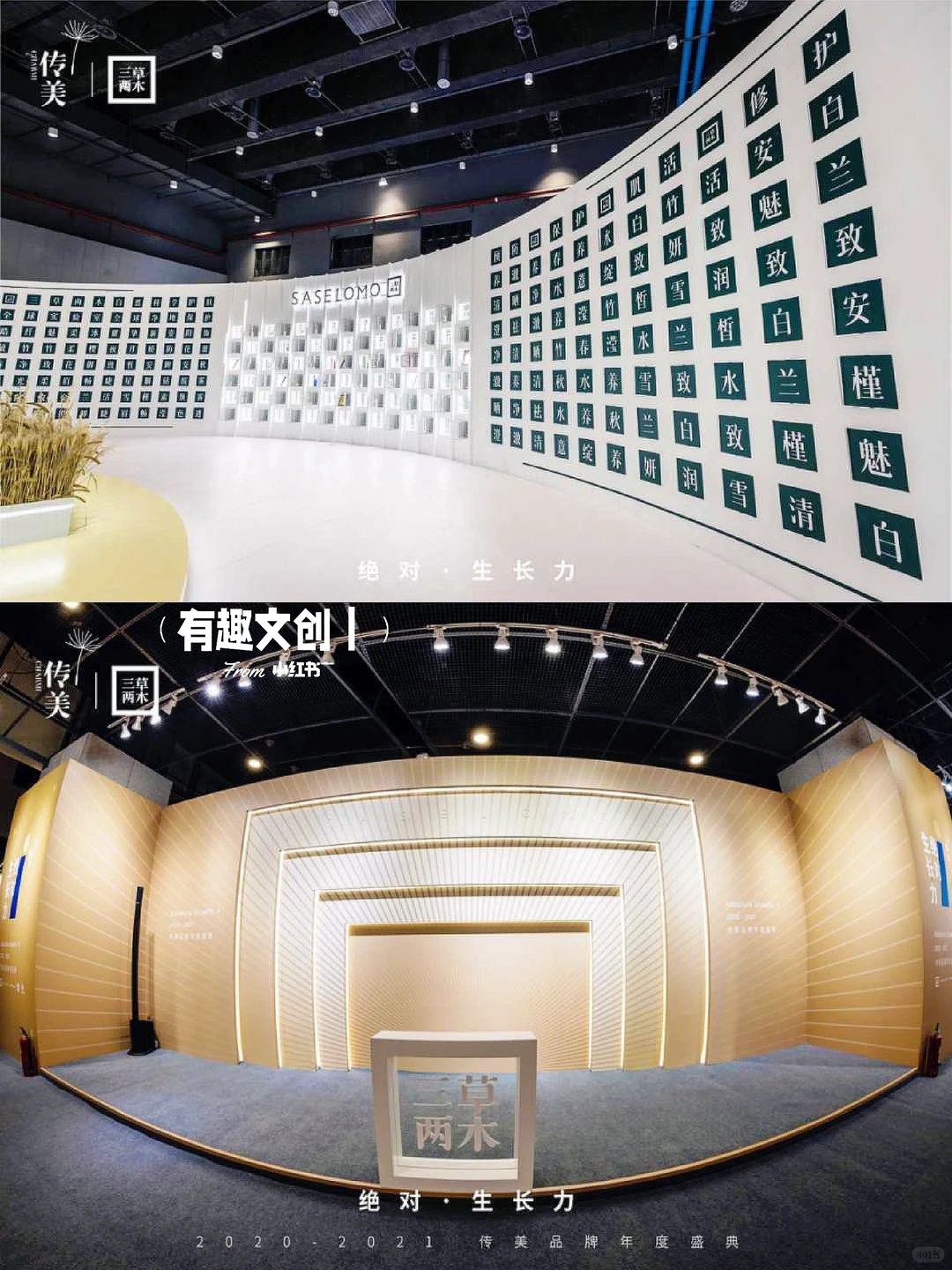 有趣案例?美业品牌年会盛典?颁奖典礼