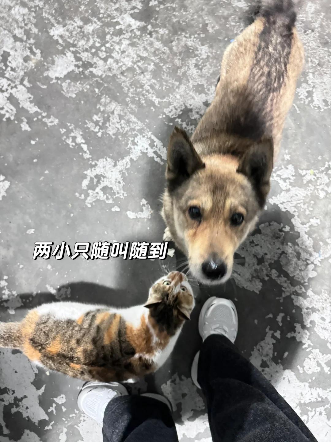 创业日记 | 从0到1,创业一年我们做了什么