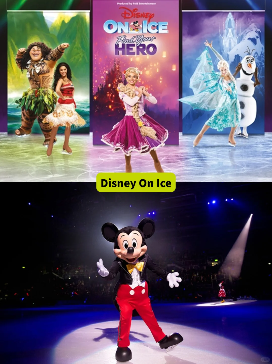 曼彻斯特冬日攻略，巡游x演出x展览全get！