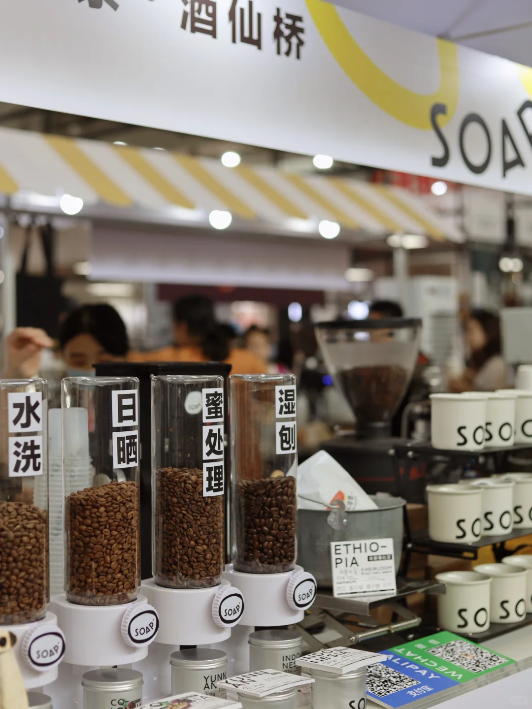 北京不花钱玩点啥｜咖啡星人免费喝到饱☕️