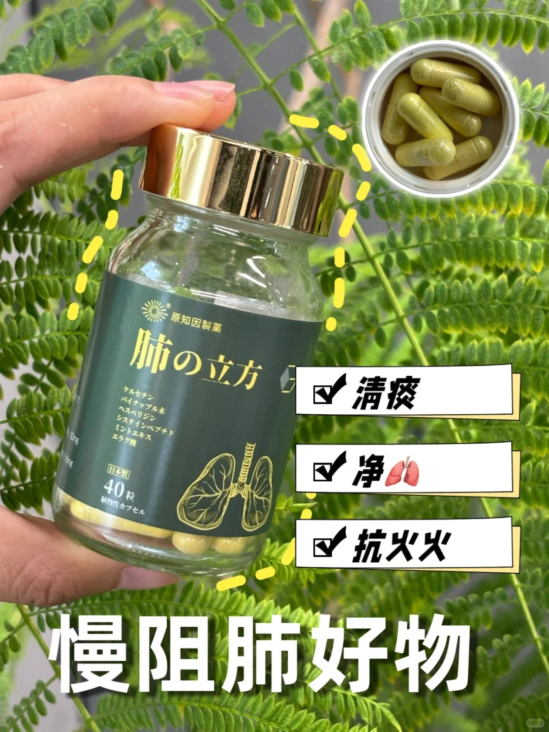 谁说养肺难？这个宝藏产品??