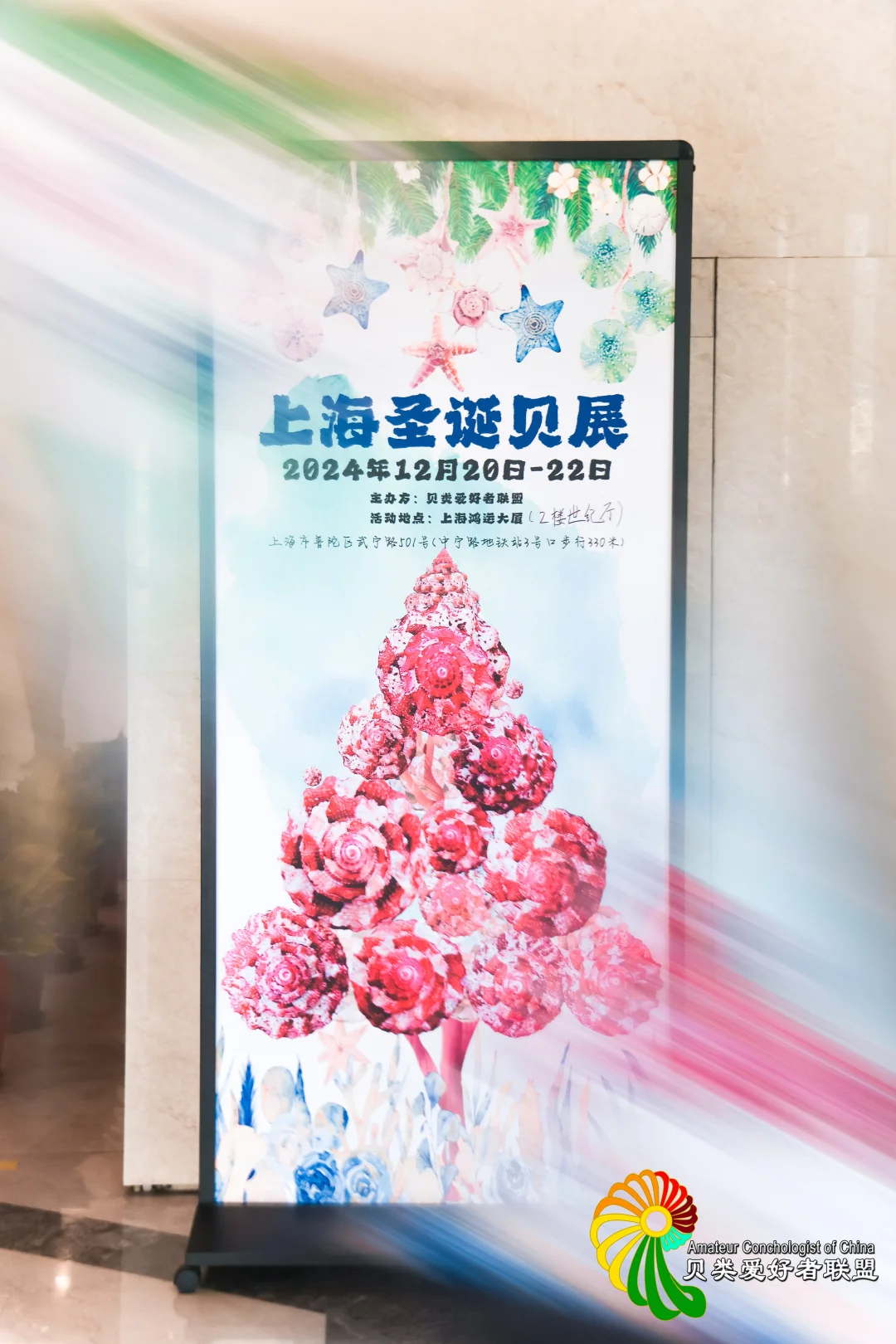 ?12.12～12.14 上海圣诞贝展来啦！