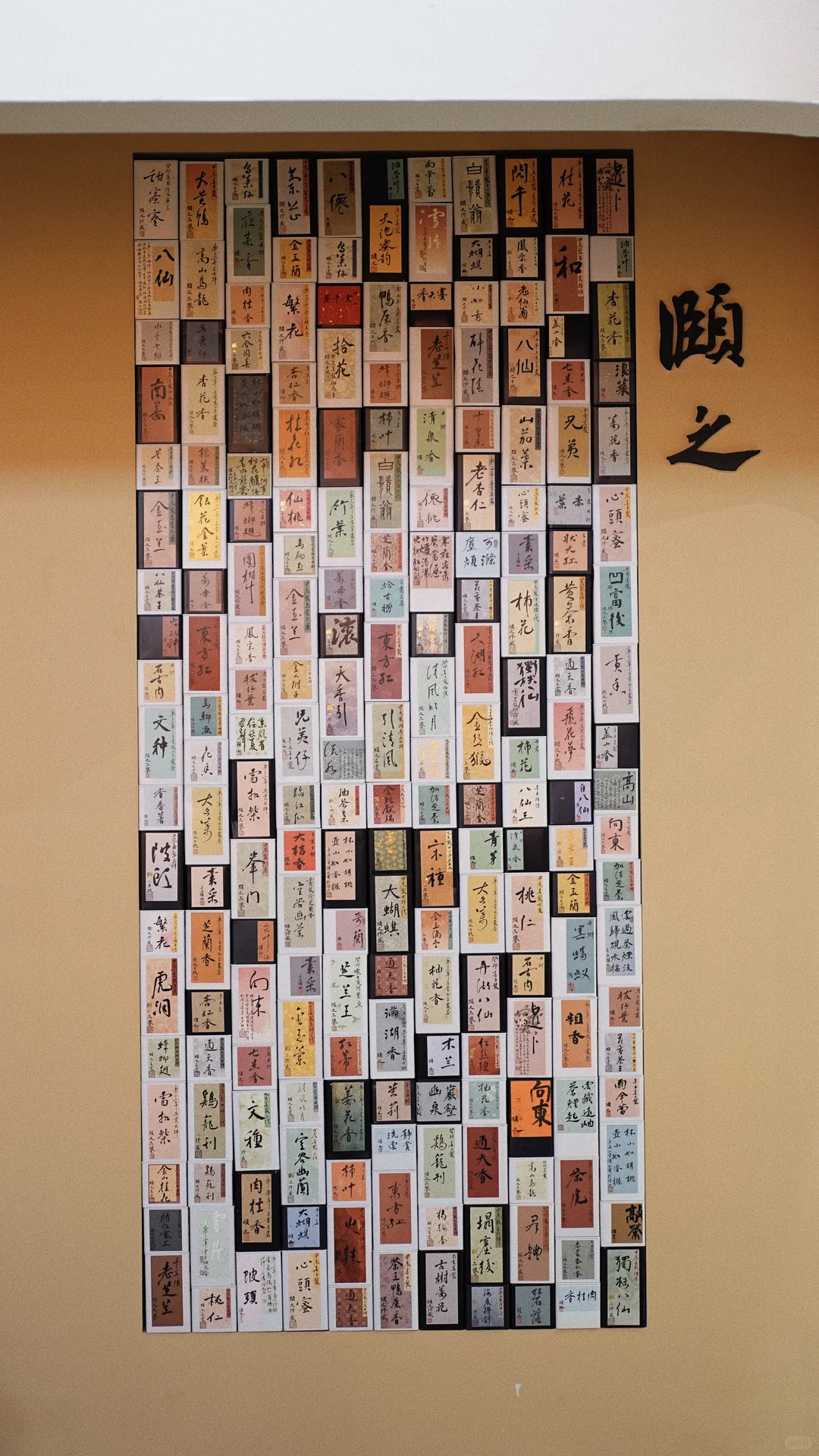 颐之·厦门茶博会 ｜明天见