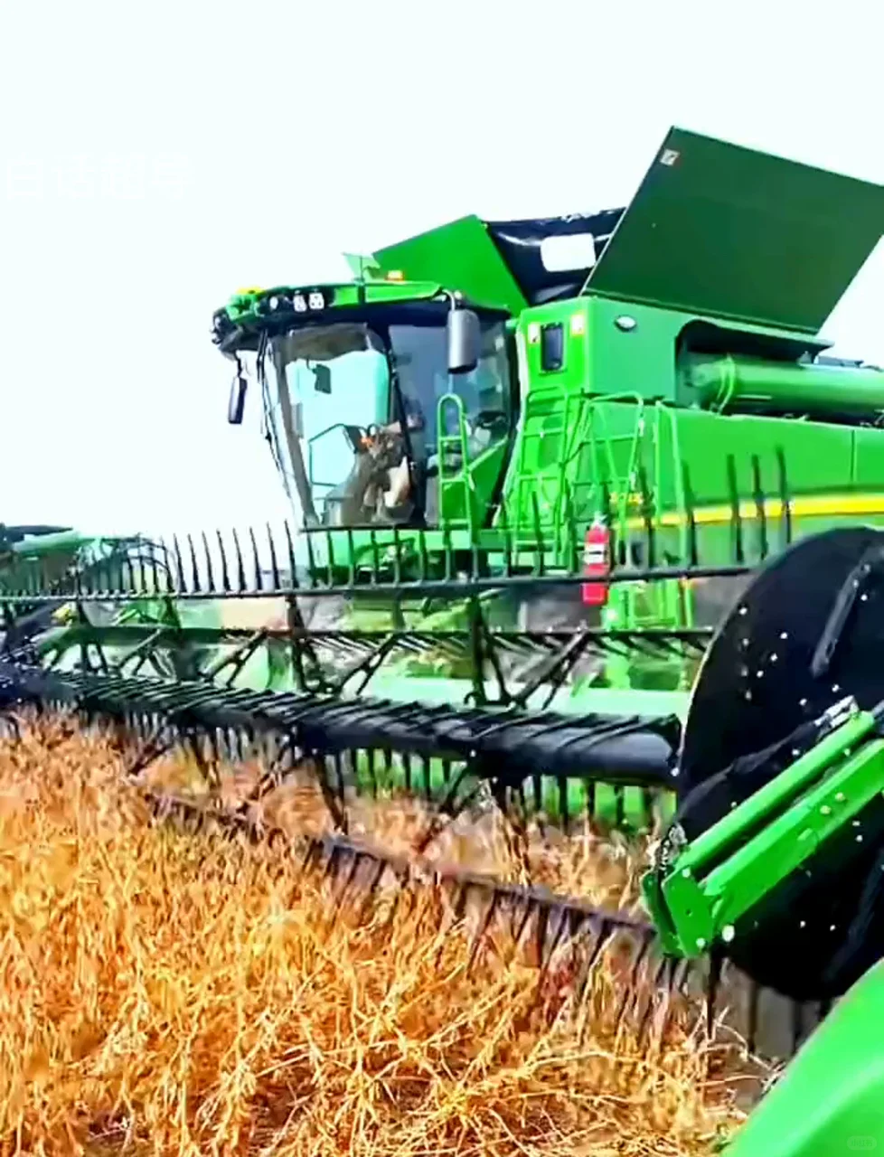 尼日利亚中国商会及农业部采购大豆的机械