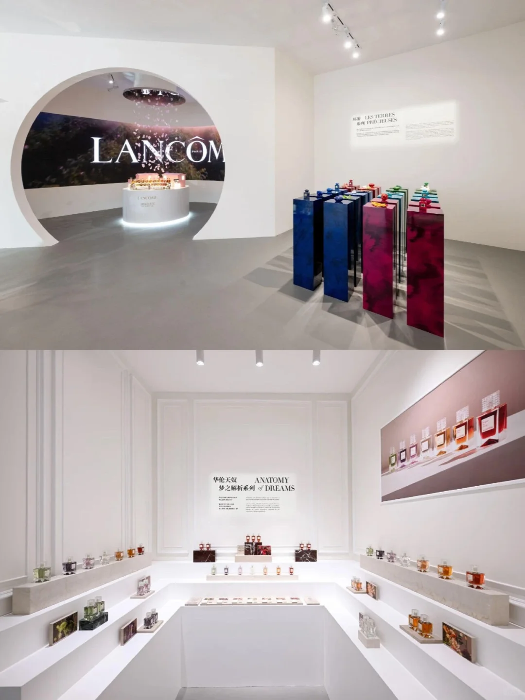 展览展示｜进博会欧莱雅展台制作搭建