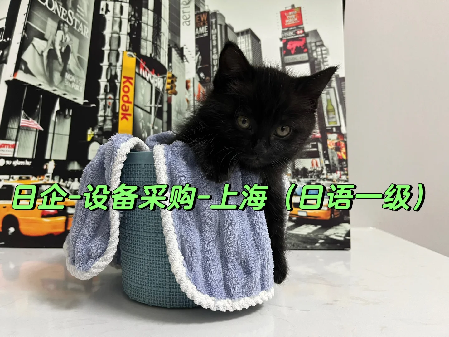 日企-设备采购-上海(日语一级)
