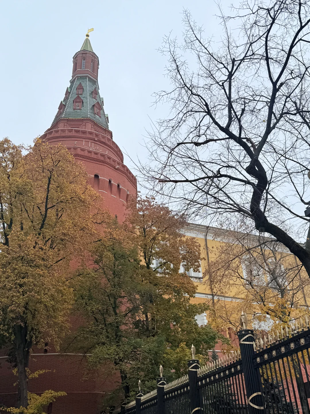 俄罗斯免签官宣！参展商机全掌握??