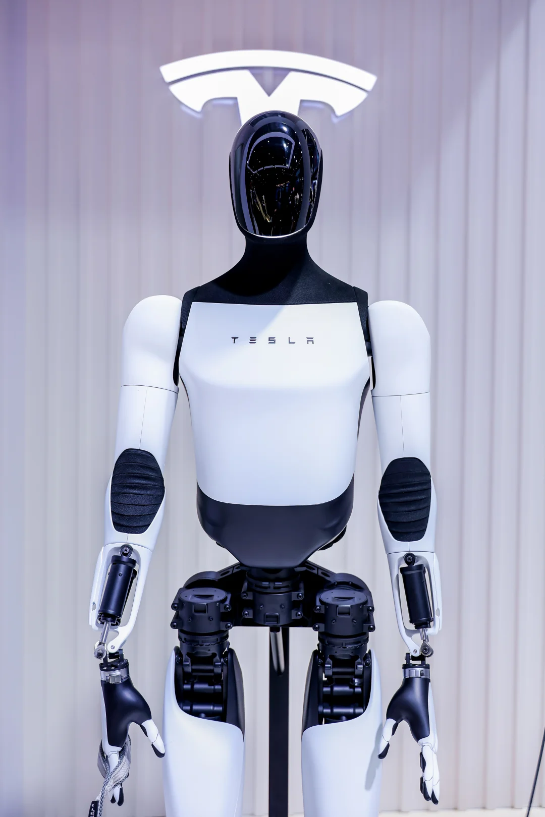 2025进博会之旅结束，回济