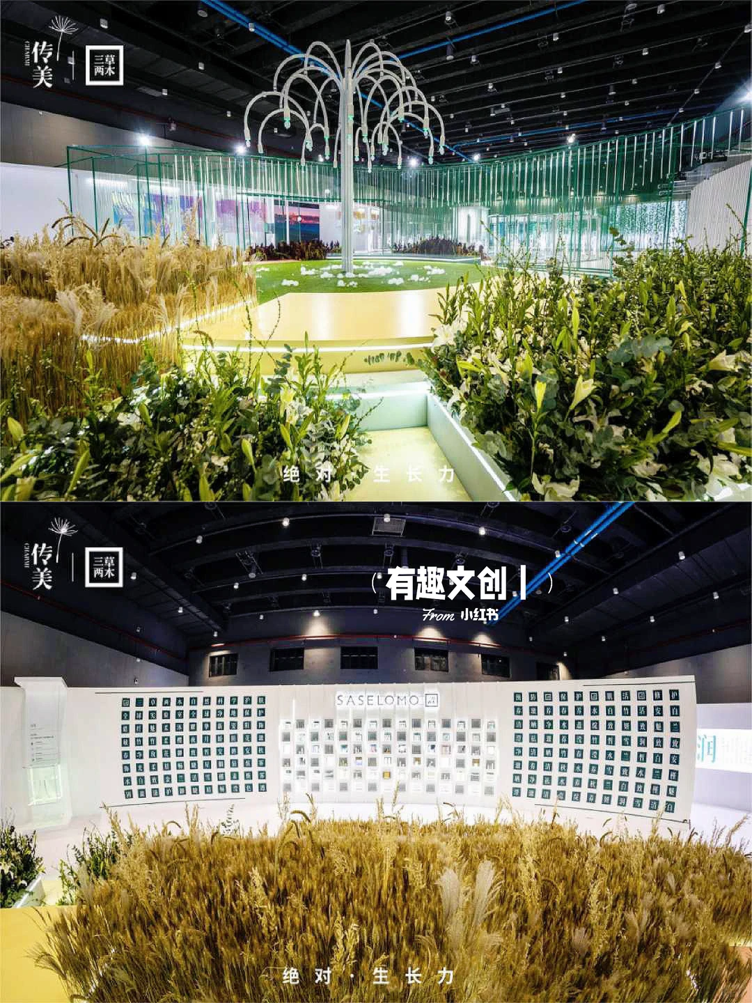 有趣案例?美业品牌年会盛典?颁奖典礼