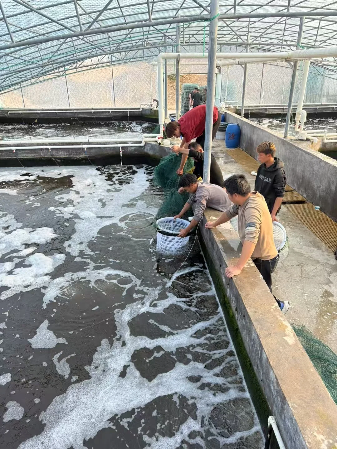 水产未来会怎么走