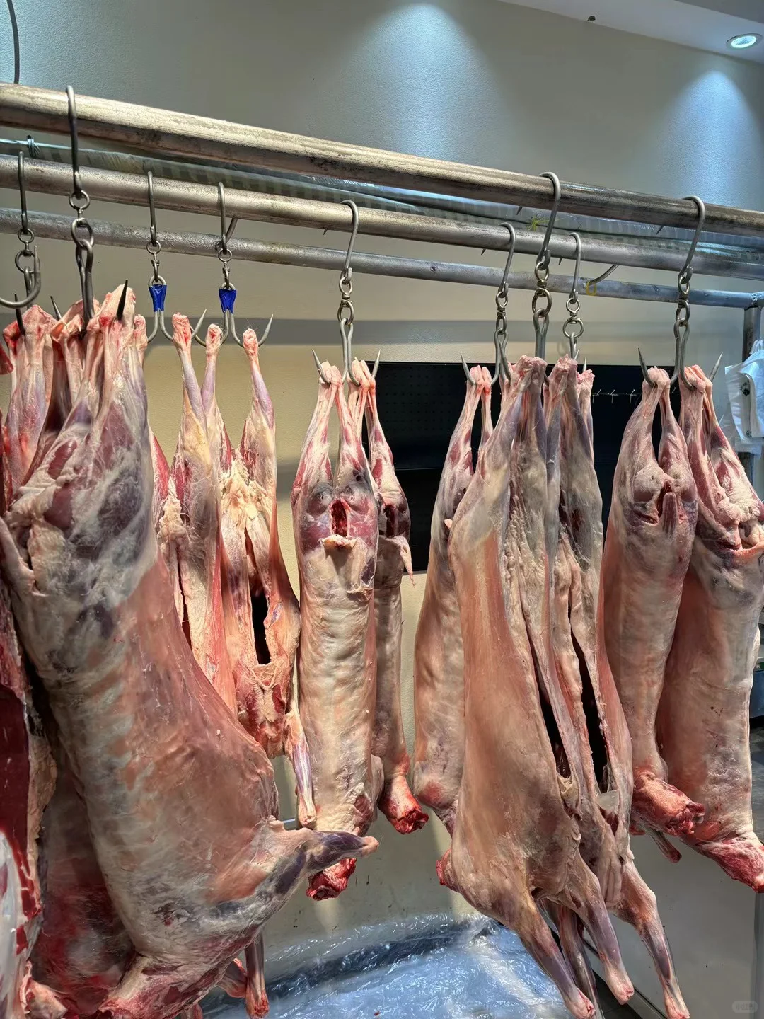 奶香味的冰碴驹俐羊最后一天发货