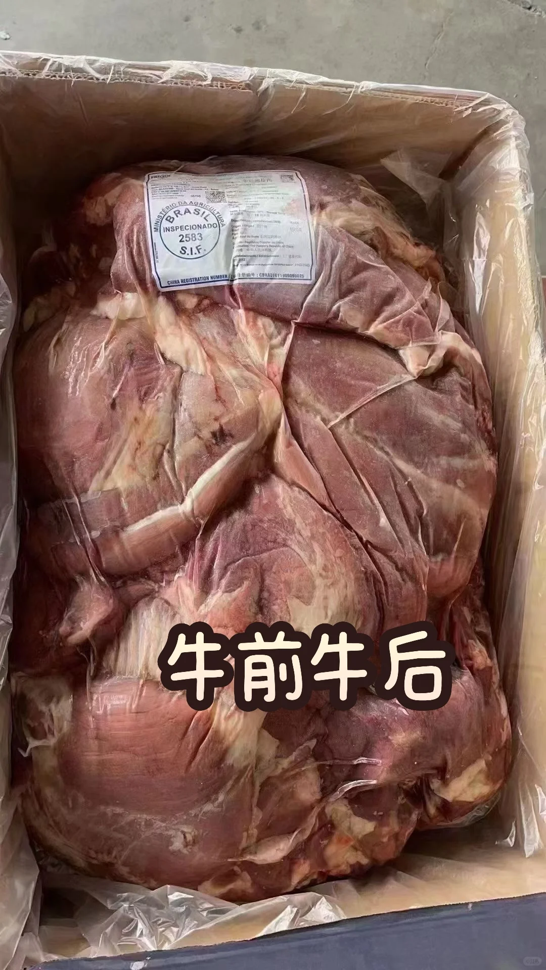 重生之帮男朋友卖牛肉赚彩礼