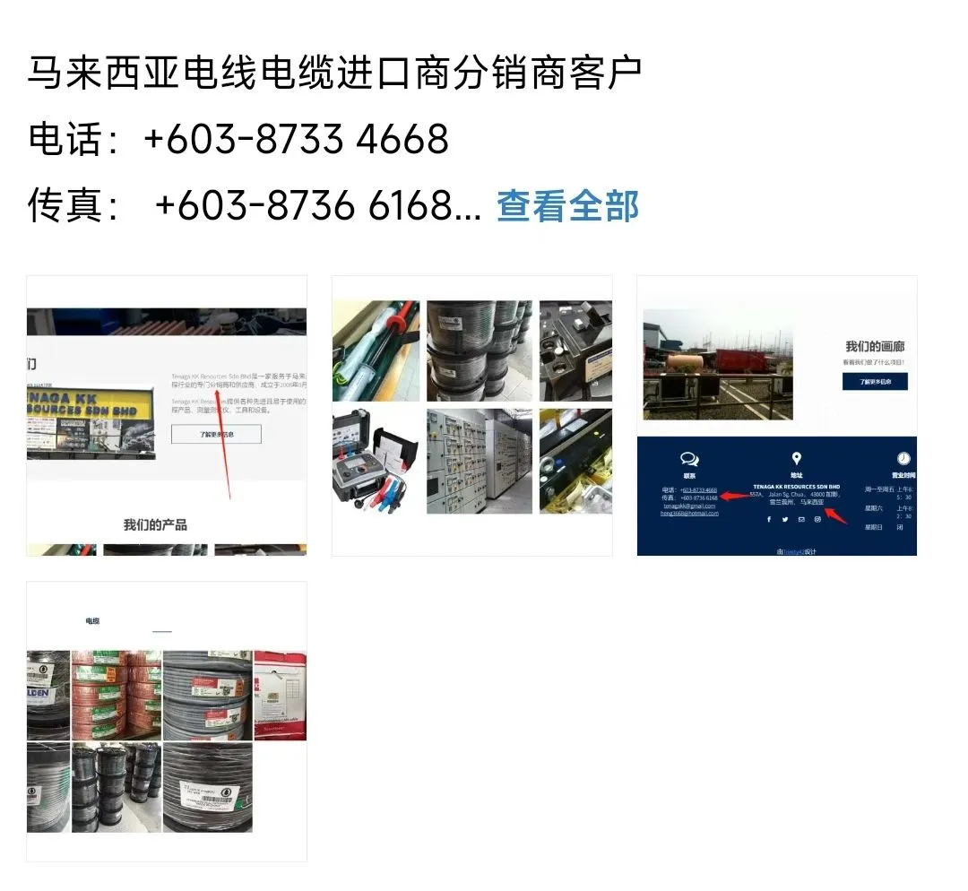 来自马来西亚电线电缆行业的采购商客户