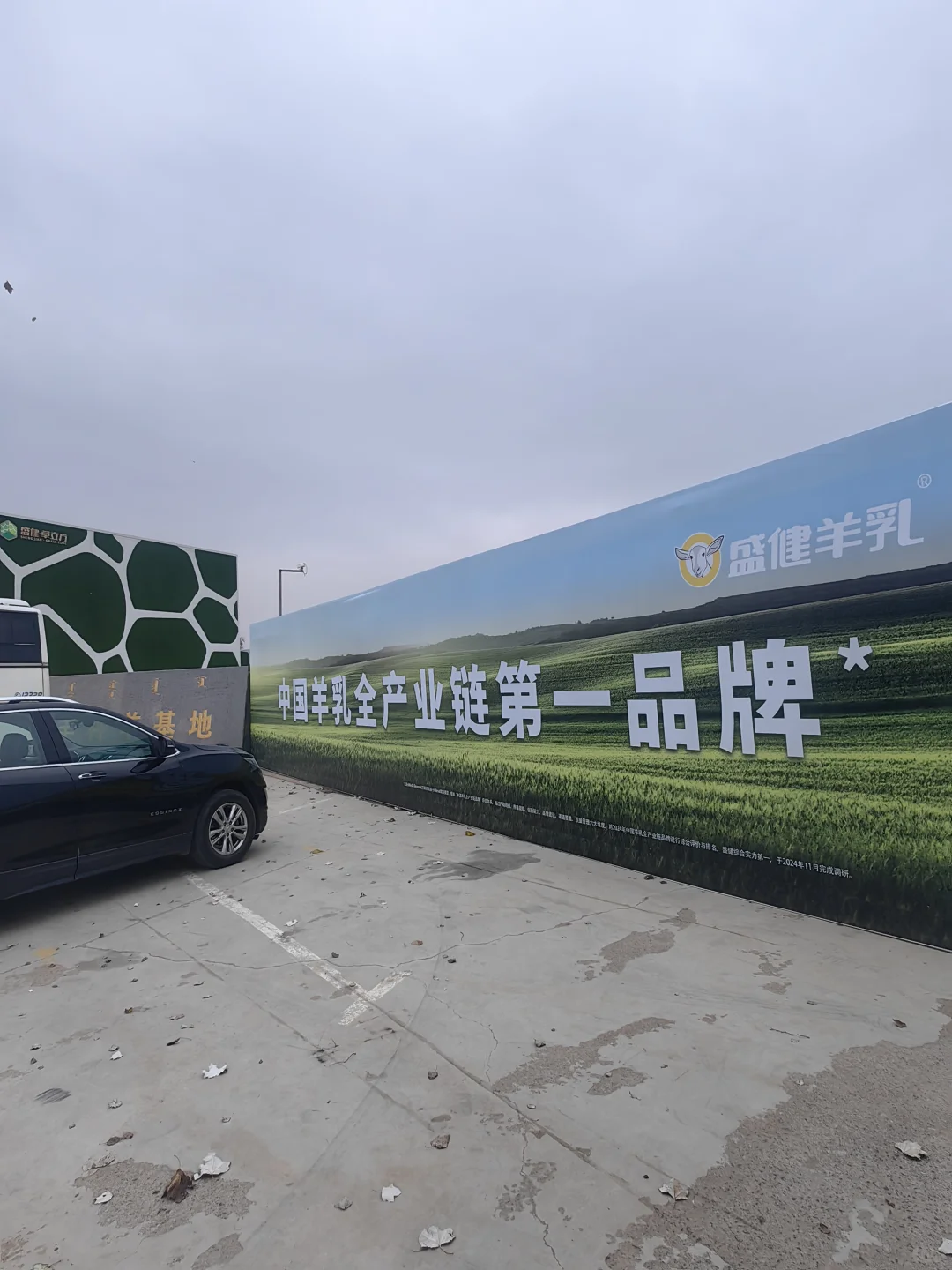 参观内蒙古自治区盛健羊乳集团