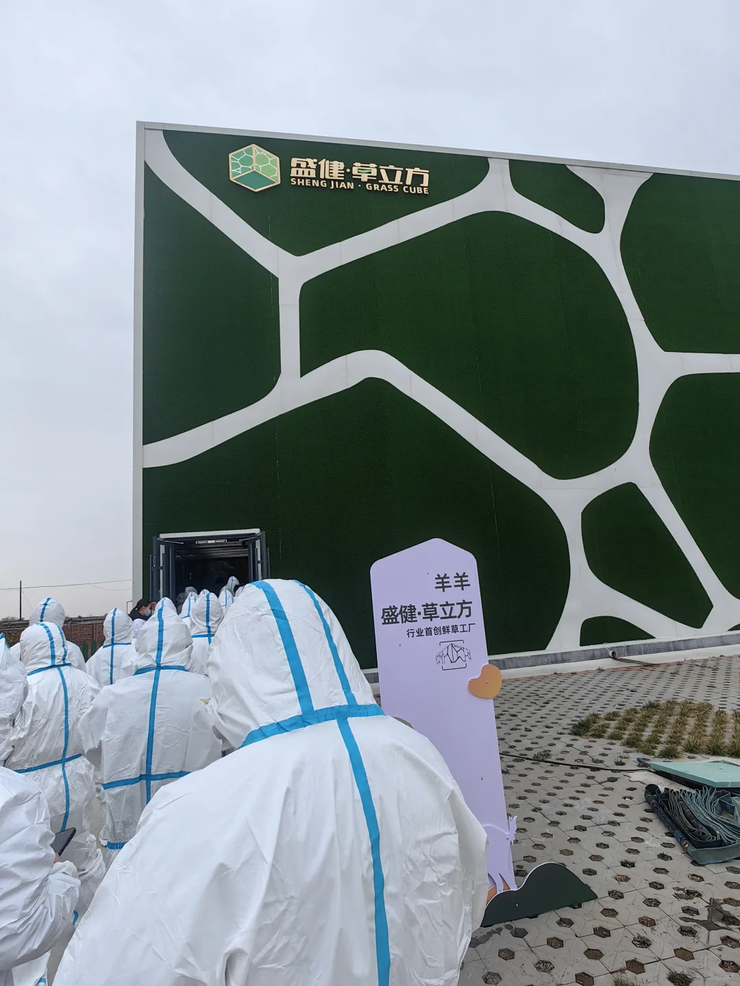 参观内蒙古自治区盛健羊乳集团