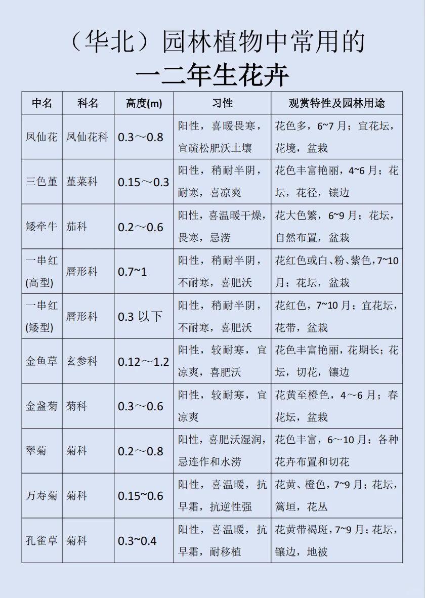 华北｜园林植物常用的一二年生花卉?