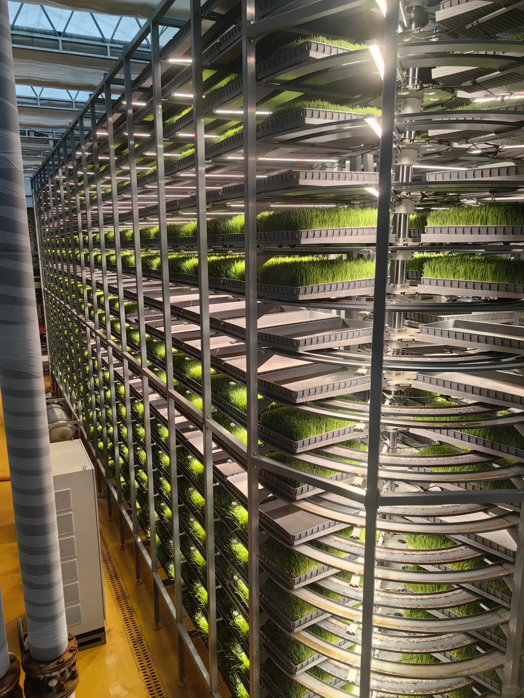 参观内蒙古自治区盛健羊乳集团