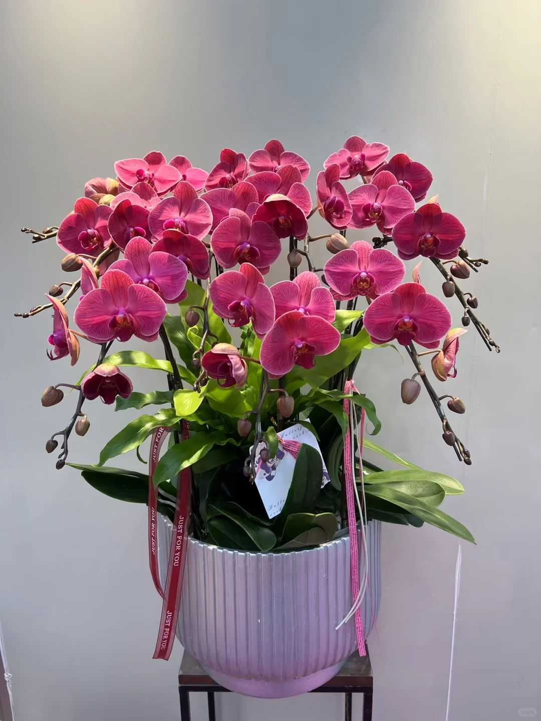 新年倒计时，家里办公室增添喜气！