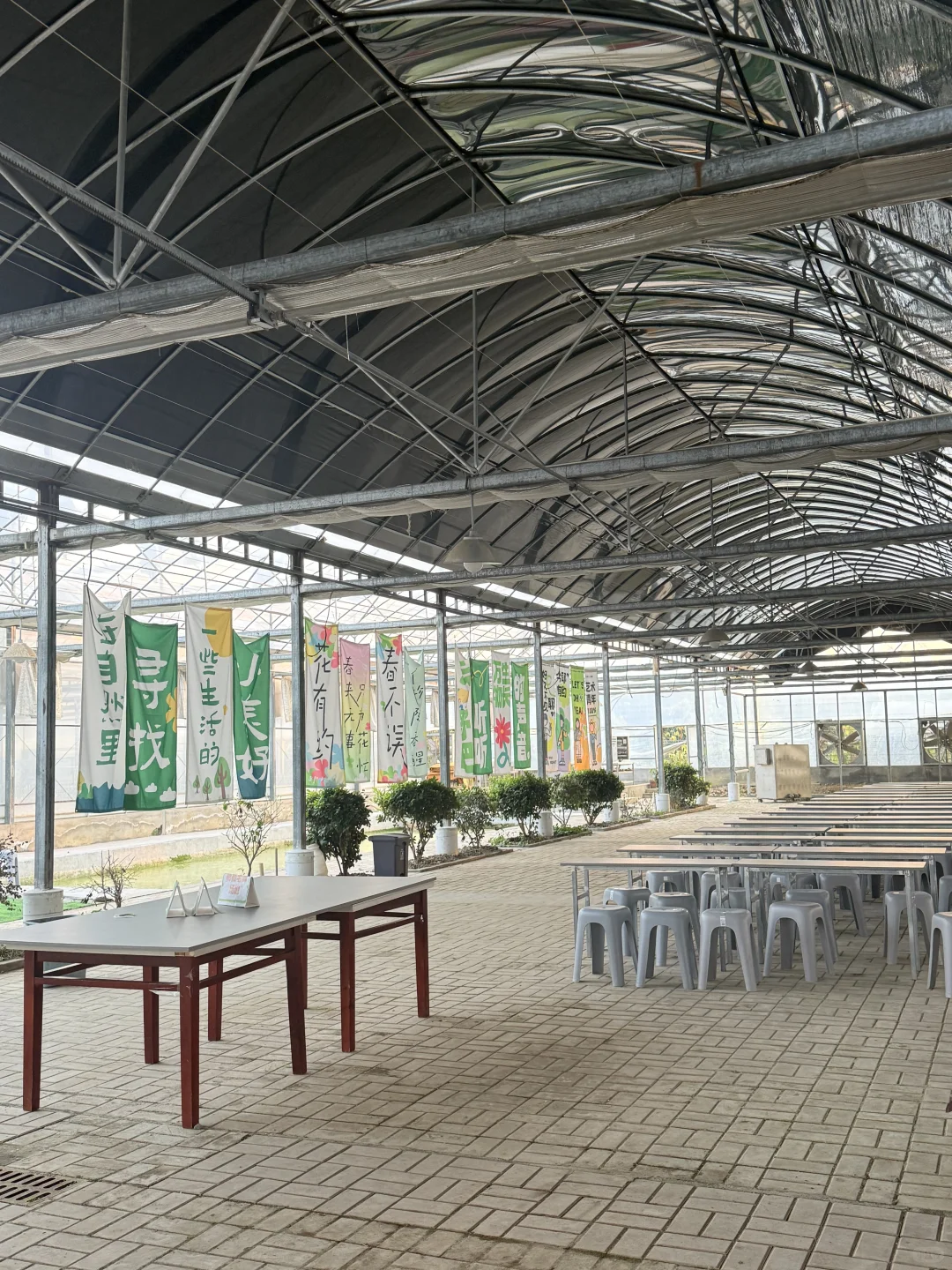 合肥亲子｜摘蘑菇?蔬菜?火龙果?