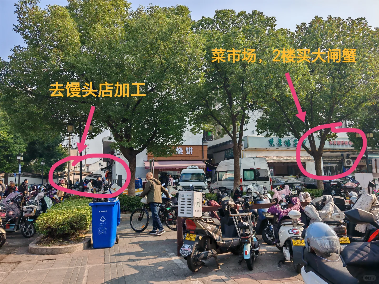 苏州山塘街菜市场吃新鲜现蒸大闸蟹