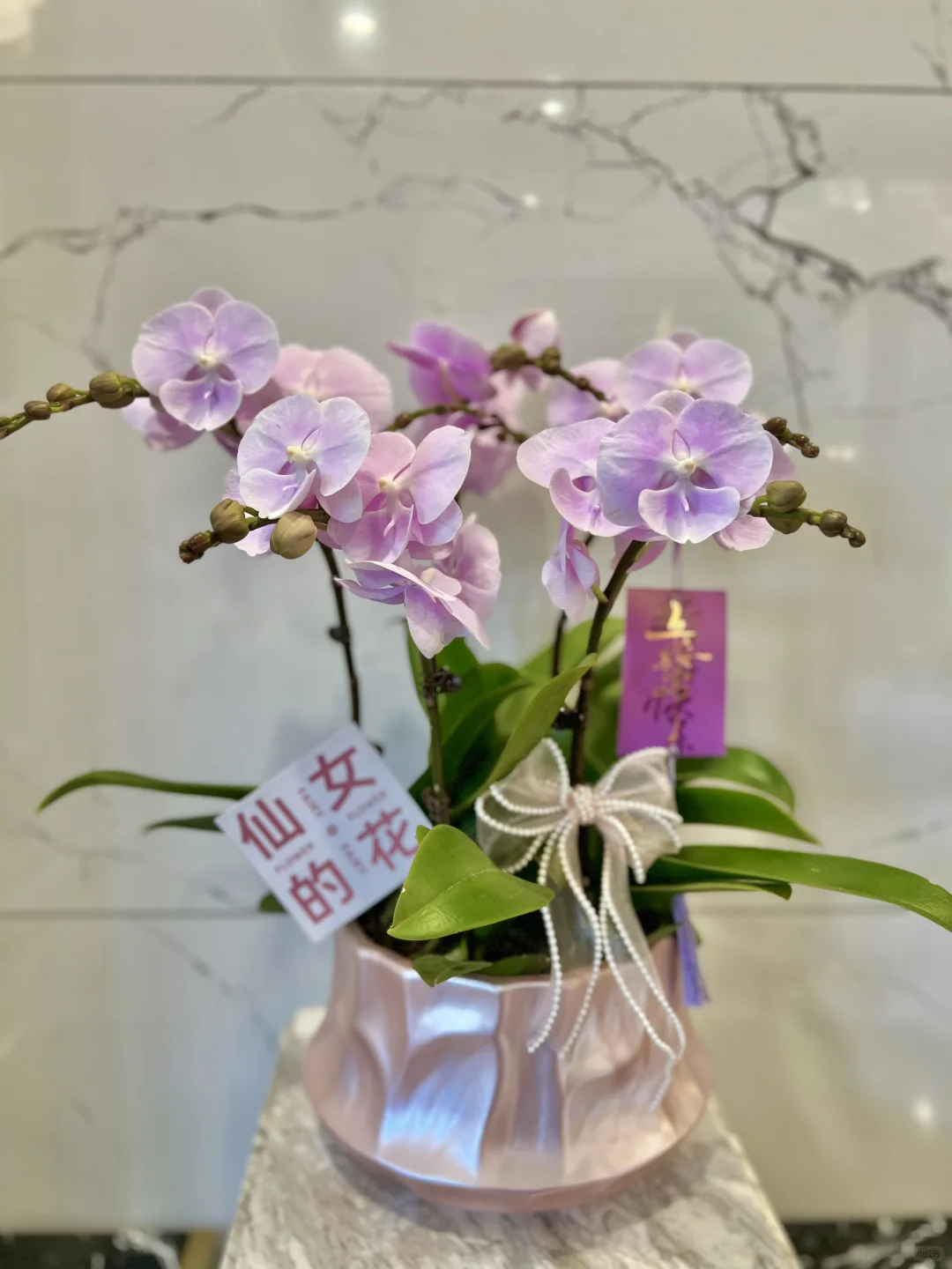 一年一度的新春居家布置??