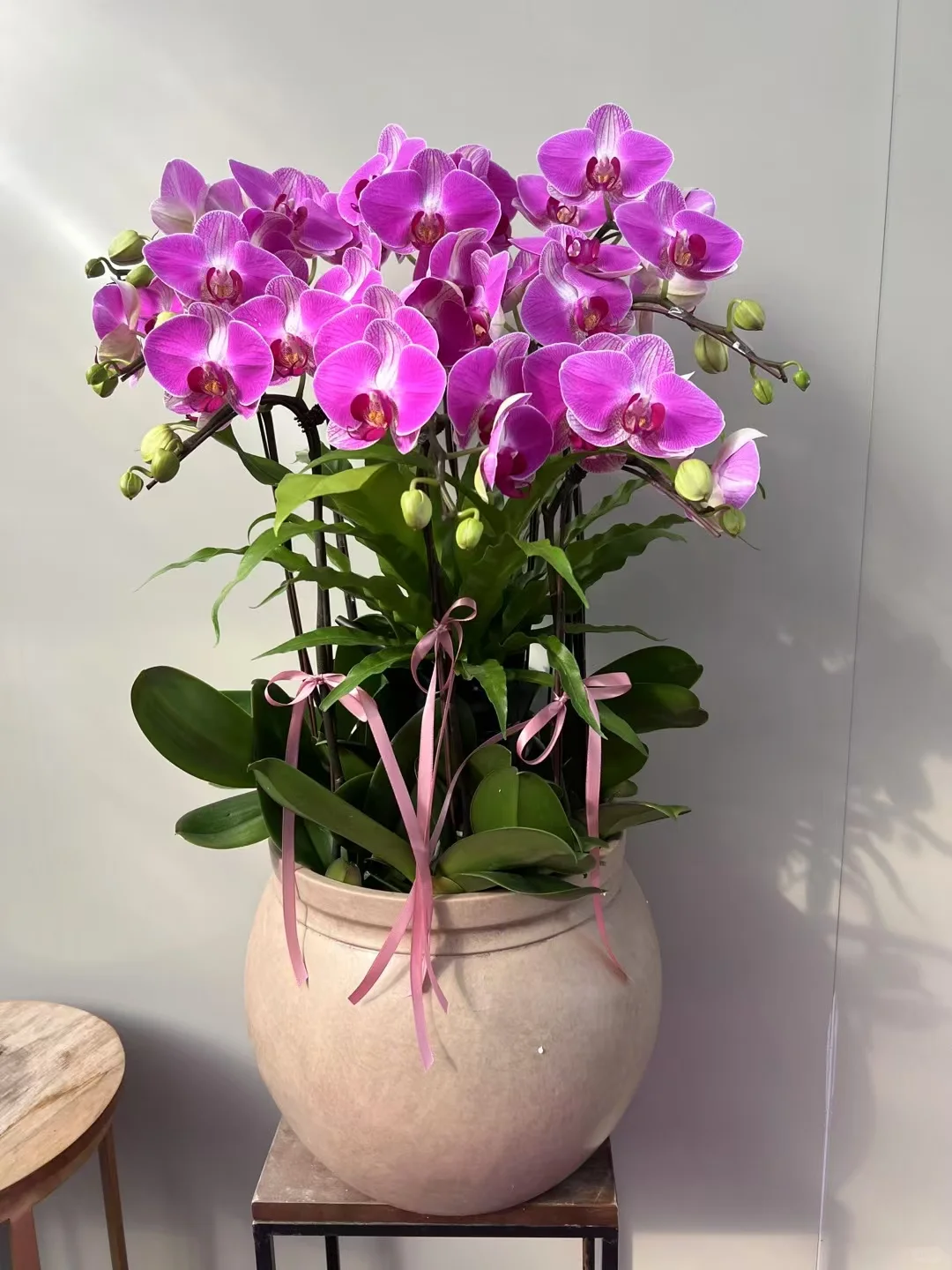 新年倒计时，家里办公室增添喜气！