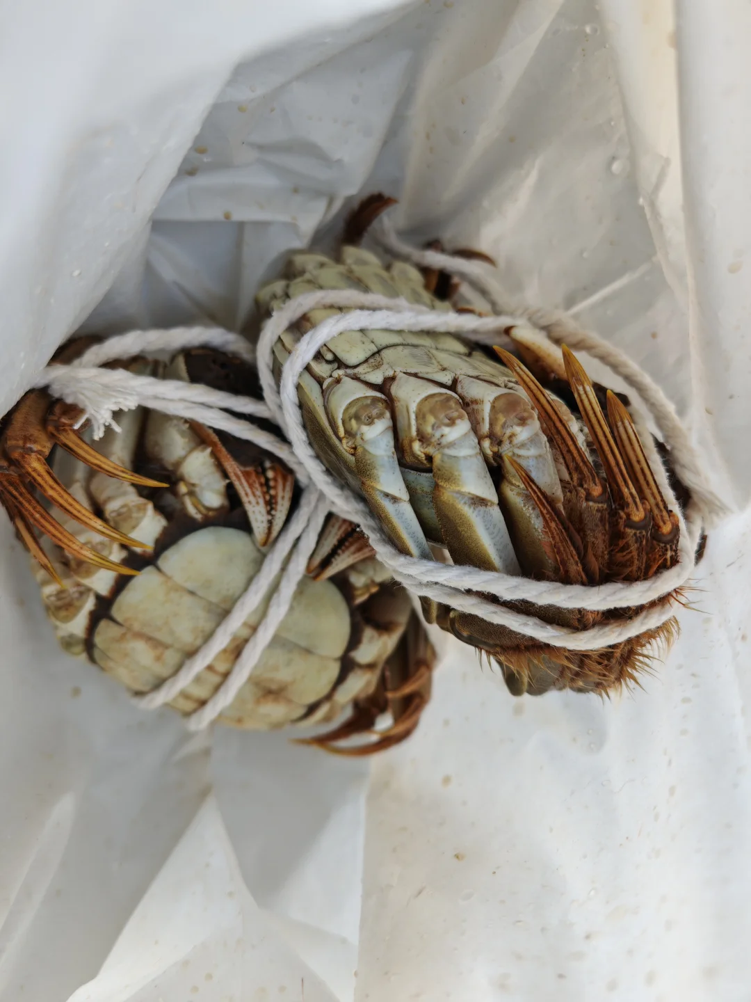 苏州山塘街菜市场吃新鲜现蒸大闸蟹