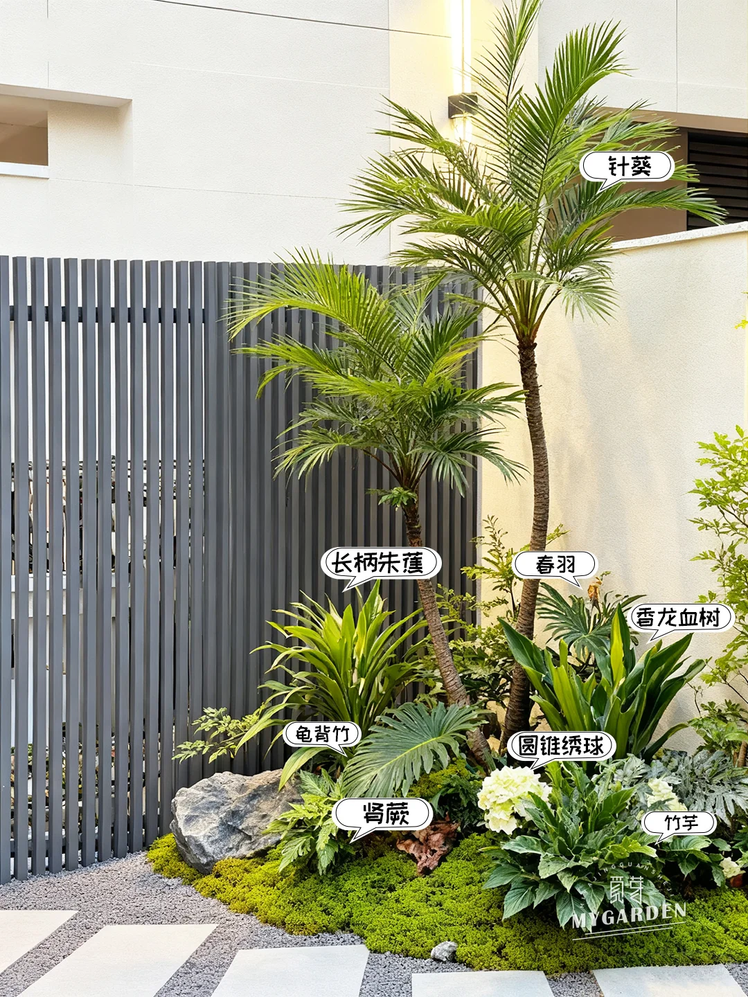 ?花园植物搭配|超高颜值长效组团花境