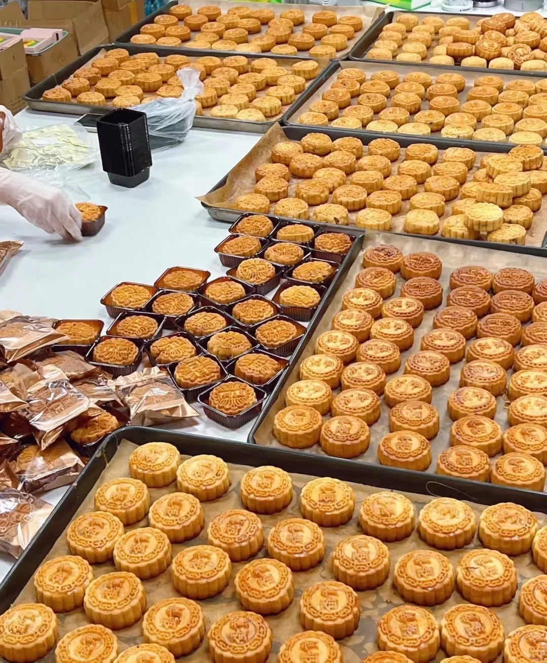 青岛月饼|源头工厂|日常记录